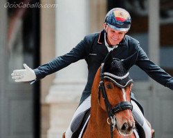 dressage horse Quartar (Hanoverian, 2014, from Quantensprung 3)