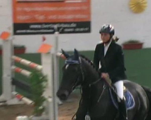 jumper Rafiness 12 (Westphalian, 1998, from Ramiro's Son I)