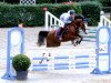 broodmare Cala Mitjana (German Riding Pony, 2005, from Fs Chiwago)