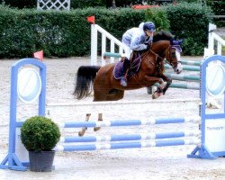 broodmare Cala Mitjana (German Riding Pony, 2005, from Fs Chiwago)