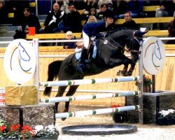 jumper Narses 3 (German Riding Pony, 1995, from Nawarro)