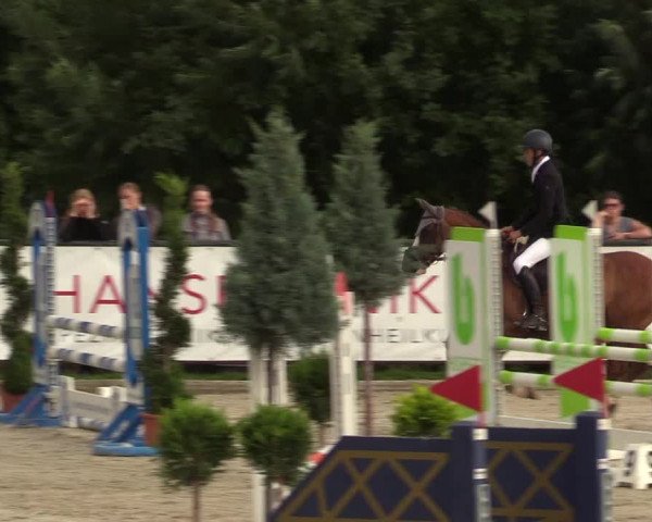 Reitturnier Schnarup-Thumby 2022