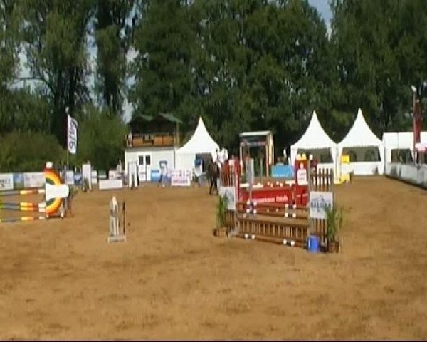 jumper Bel Ami 73 (KWPN (Royal Dutch Sporthorse), 2006, from Caspar (Berlin))