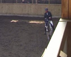 jumper Kim (German Sport Horse, 2004, from Kaiserwind)