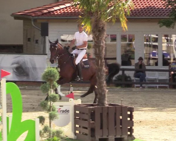 Reitturnier Schnarup-Thumby 2022