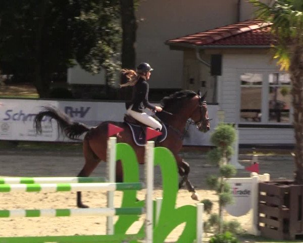 Reitturnier Schnarup-Thumby 2022