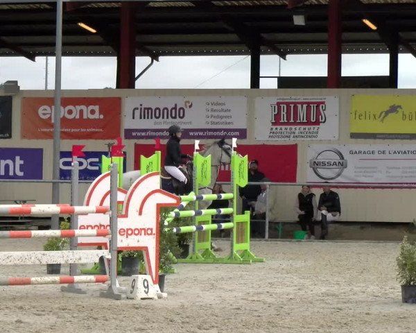 Reitturnier Dompierre 2022