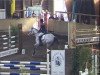 jumper Queen-light (Hanoverian, 2006, from Quidam's Rubin)