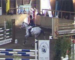 jumper Queen-light (Hanoverian, 2006, from Quidam's Rubin)