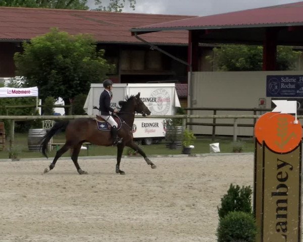 Reitturnier Dompierre 2022
