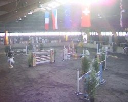 jumper Vigor 9 (KWPN (Royal Dutch Sporthorse), 2002, from Celano)