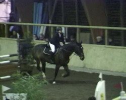 Springpferd Over The Top 3 (KWPN (Niederländisches Warmblut), 1996, von Jus de Pomme)