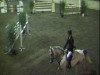 jumper Caramba D (German Riding Pony, 1998, from Croupier)