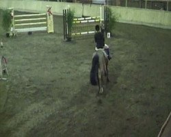 jumper Romulus 119 (Hungarian Warmblood, 1998, from Romino)