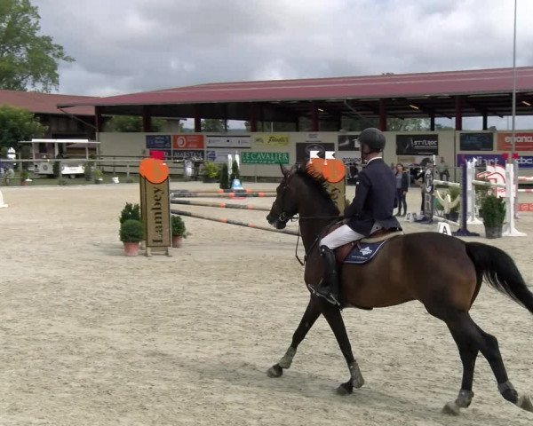 Reitturnier Dompierre 2022