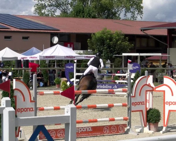 Reitturnier Dompierre 2022