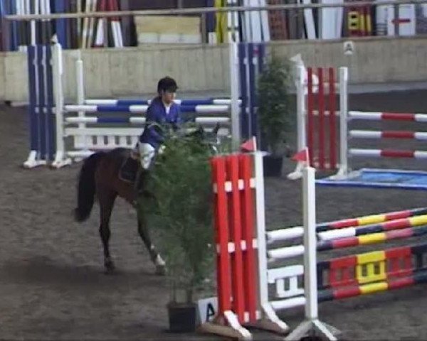 jumper Balox (Oldenburg, 2006, from Balou du Rouet)