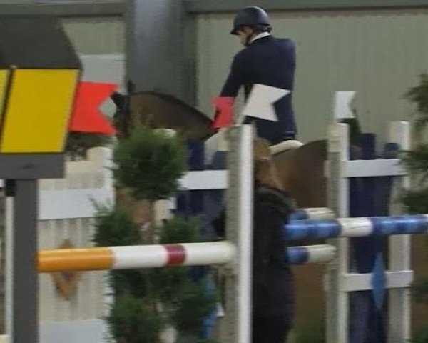 jumper Galando H (Hanoverian, 2004, from Graf Top)