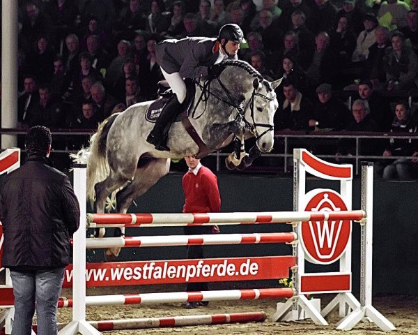 stallion Cristallo II (Westphalian, 2007, from Cornet Obolensky)