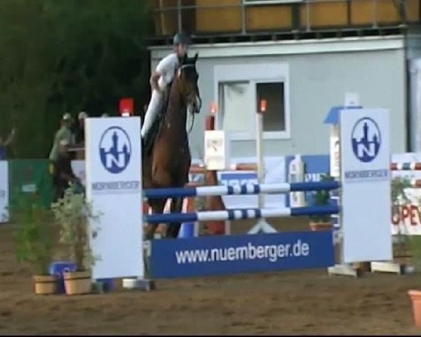 Springpferd Romero 99 (Hannoveraner, 2003, von Rubin Royal OLD)