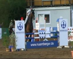 jumper Romero 99 (Hanoverian, 2003, from Rubin Royal OLD)