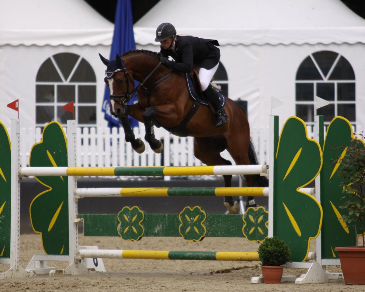 jumper Coppermine Fbh (Westphalian, 2004, from Cornet Obolensky)