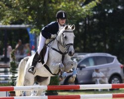 Springpferd Nikosia VS (Deutsches Reitpony, 1995, von Nic Nimbo)