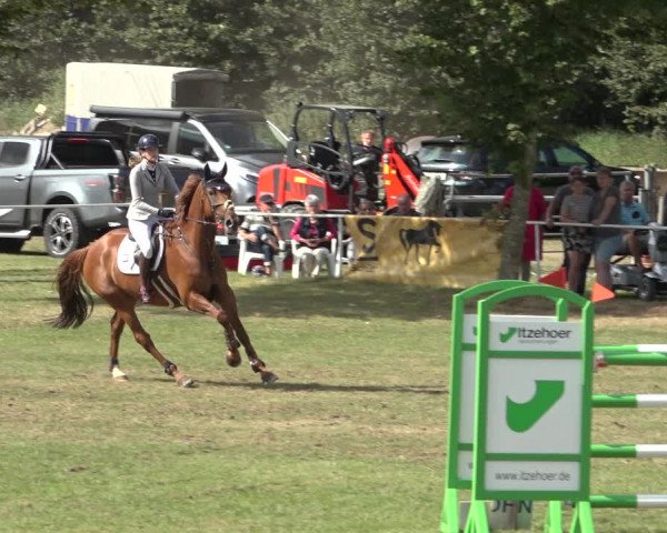 Reitturnier Kellinghusen 2022