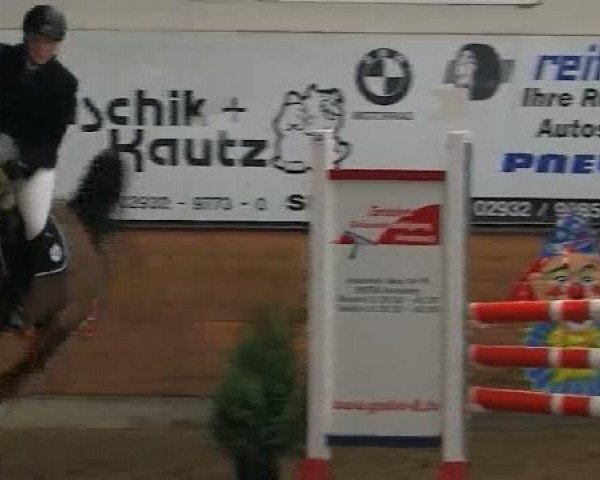jumper Bubi van Babberich (KWPN (Royal Dutch Sporthorse), 2005, from Burggraaf)
