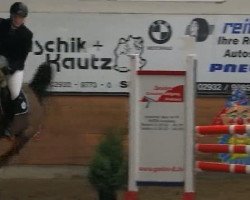 jumper Bubi van Babberich (KWPN (Royal Dutch Sporthorse), 2005, from Burggraaf)