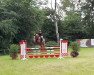 jumper Lux 158 (Hanoverian, 2012, from Livello)