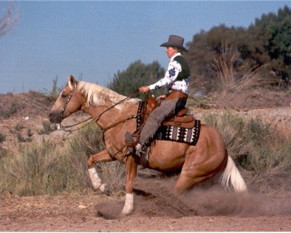 stallion Como Chex Hobby (Quarter Horse, 1989, from Como Chex)