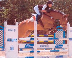 jumper Bubu (KWPN (Royal Dutch Sporthorse), 1994, from Burggraaf)