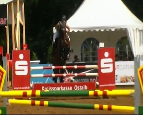 horse Mary Lou 129 (Württemberger, 2000, from Mitch)