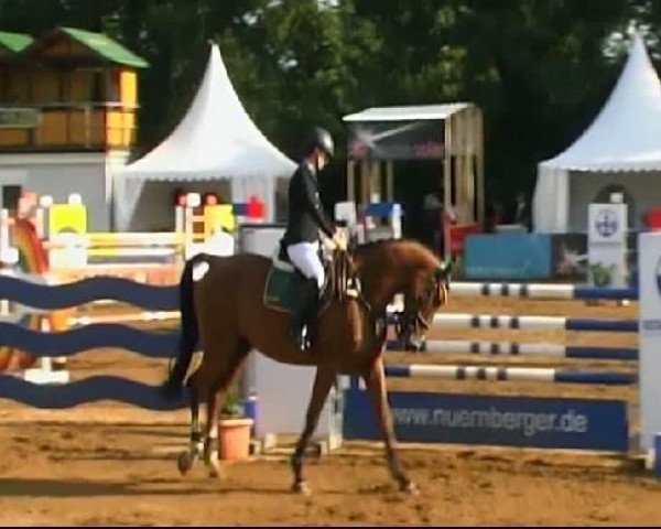 Springpferd Cover Boy 8 (Württemberger, 2005, von Candillo Z)
