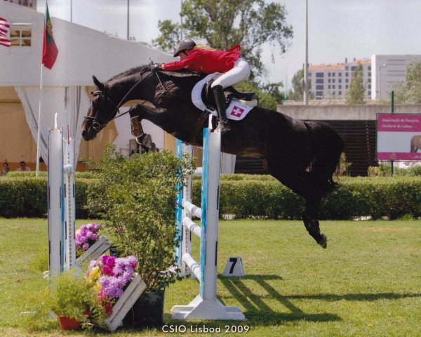 stallion Joly St. Hubert (Belgium Sporthorse, 1993, from Ezoliet)