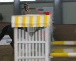 Springpferd Chanel vh Hezerhof (Belgisches Warmblut, 2002, von Parco)