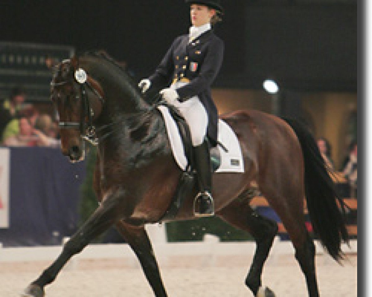 stallion Warkantos (Hanoverian, 1990, from Warkant)