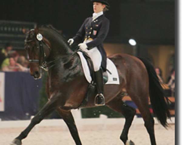 stallion Warkantos (Hanoverian, 1990, from Warkant)