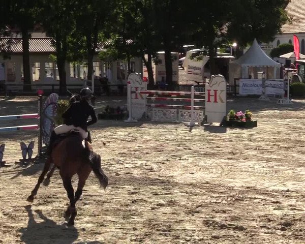 Reitturnier Schnarup-Thumby 2022