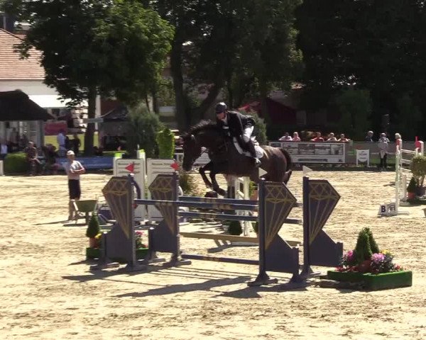 Reitturnier Schnarup-Thumby 2022