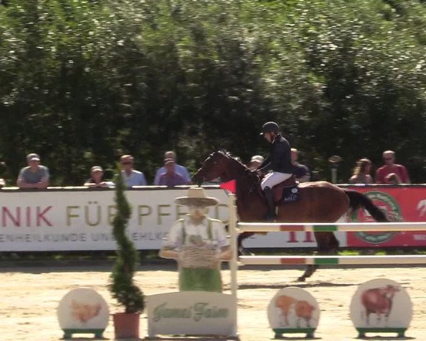 Reitturnier Schnarup-Thumby 2022