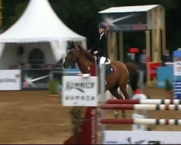 Springpferd E'Lucky Boy (Westfale, 1998, von Ehrenmarsch)