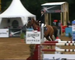 Springpferd E'Lucky Boy (Westfale, 1998, von Ehrenmarsch)