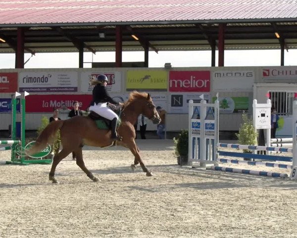 Reitturnier Dompierre 2022