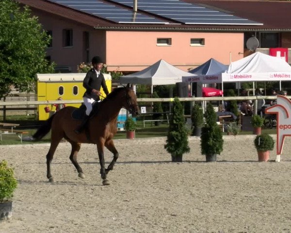 Reitturnier Dompierre 2022