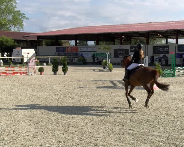 Reitturnier Dompierre 2022
