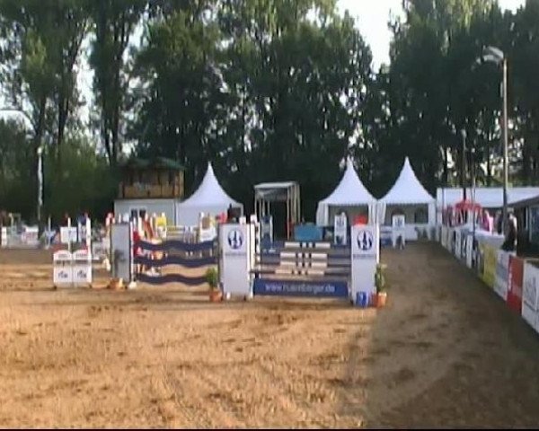 Springpferd Kalimero 31 (Württemberger, 1997, von Konkorde)