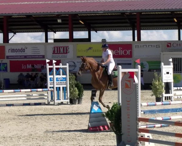 Reitturnier Dompierre 2022