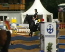 Pferd Lambada 108 (Oldenburger, 1995, von Landstern)